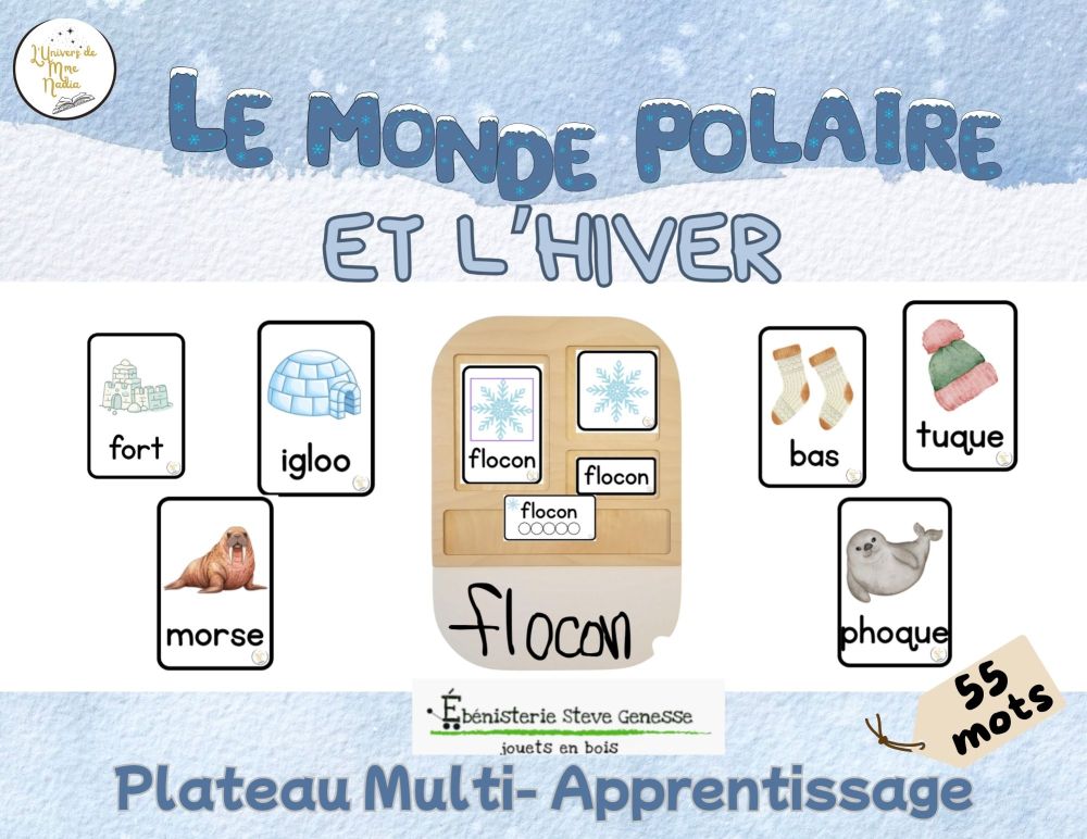Plateau multi-apprentissage- Monde polaire et hiver