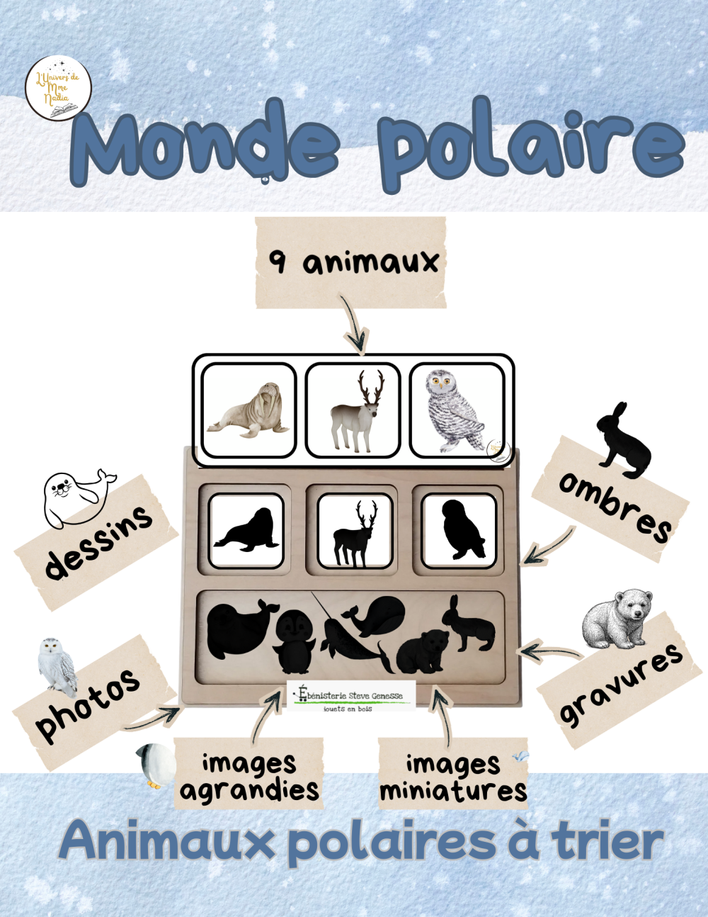 Plateau de tri-Les animaux polaires