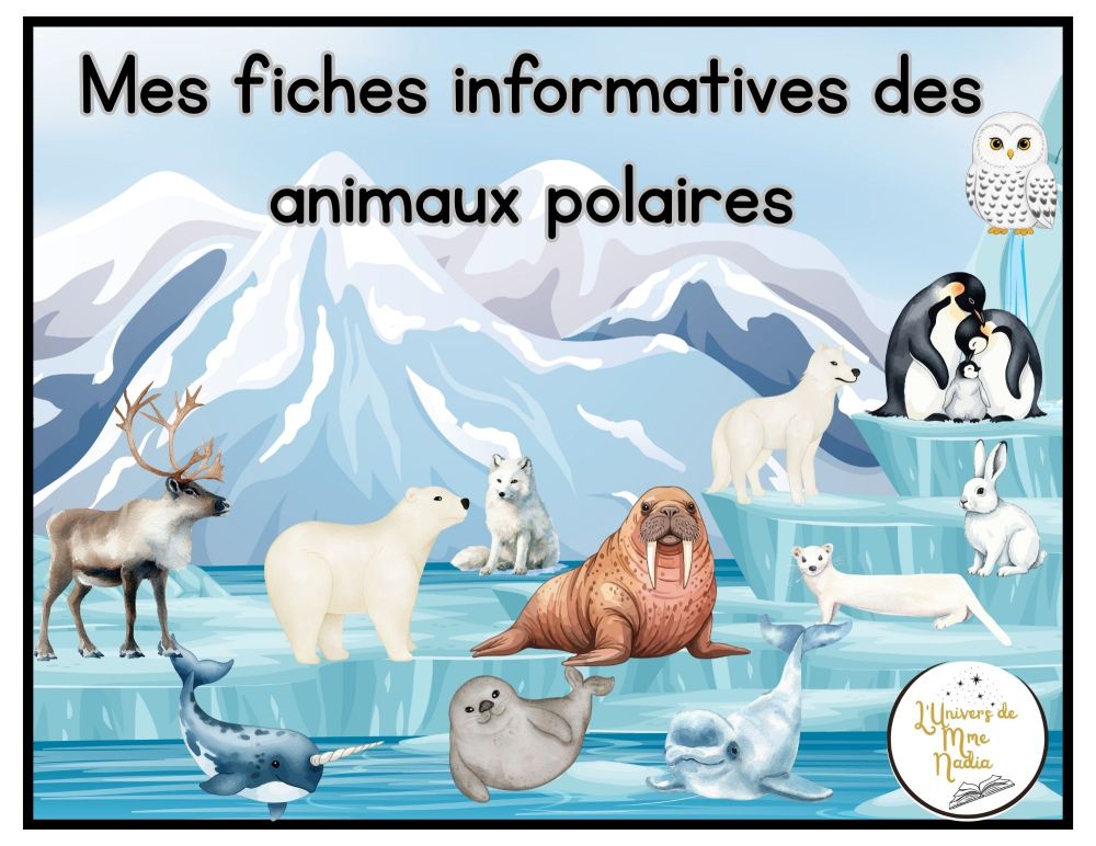 Mes fiches informatives- Les animaux polaires