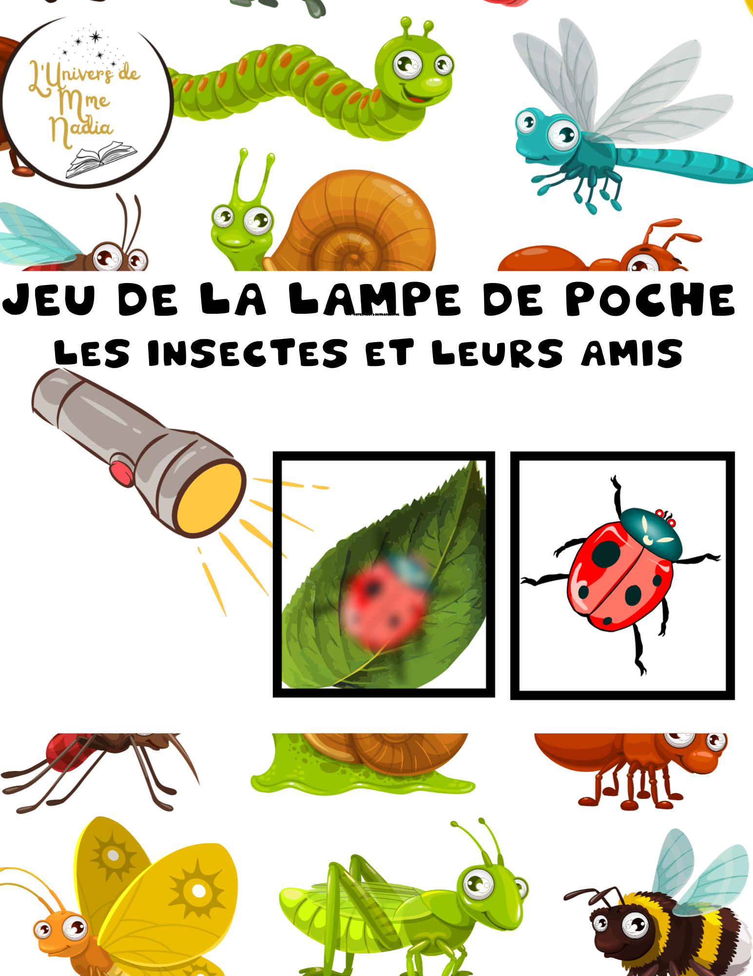  Jeu de la lampe de poche - Les insectes et leurs amis