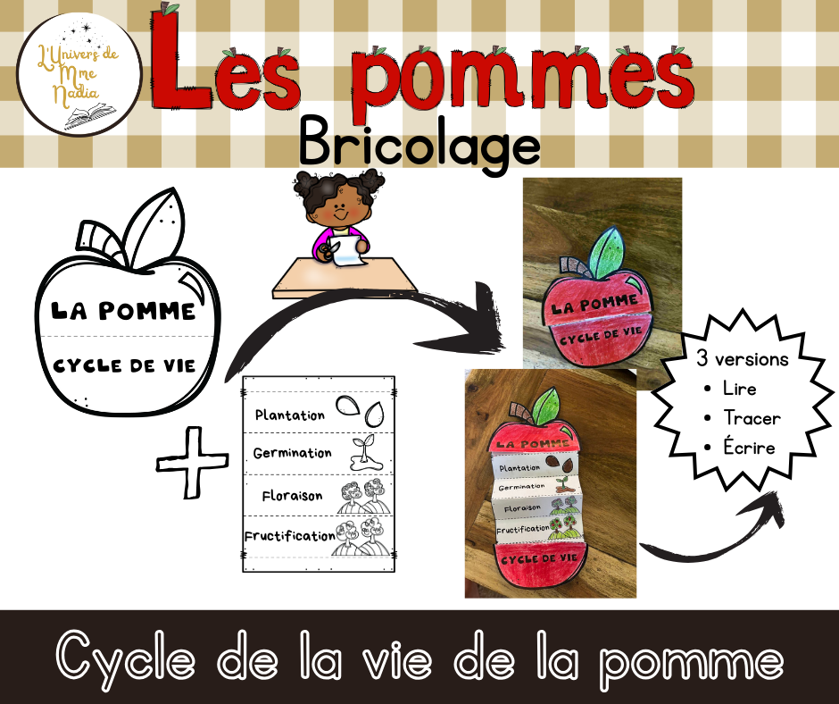 Bricolage - Cycle de vie de la pomme