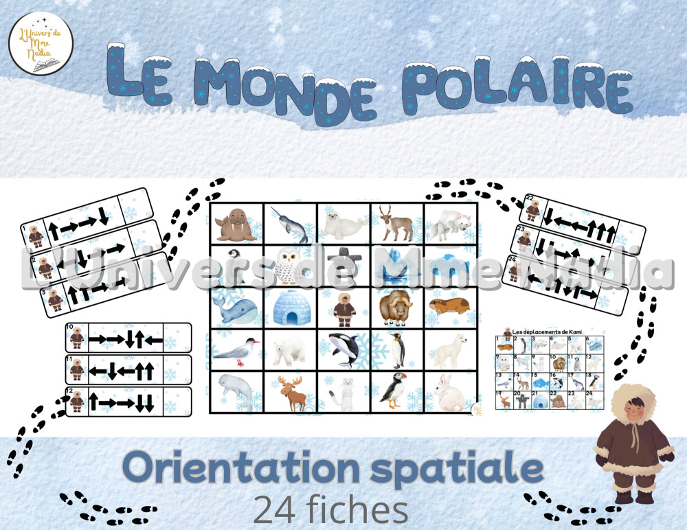 Orientation spatiale - Le monde polaire