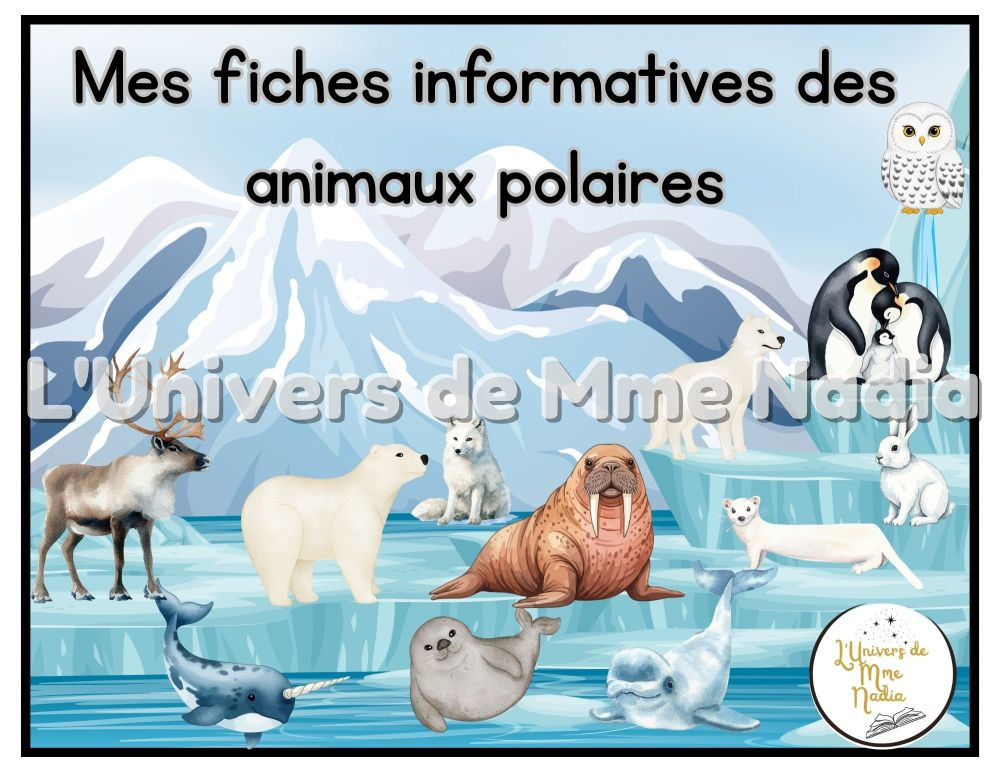 Mes fiches informatives- Les animaux polaires