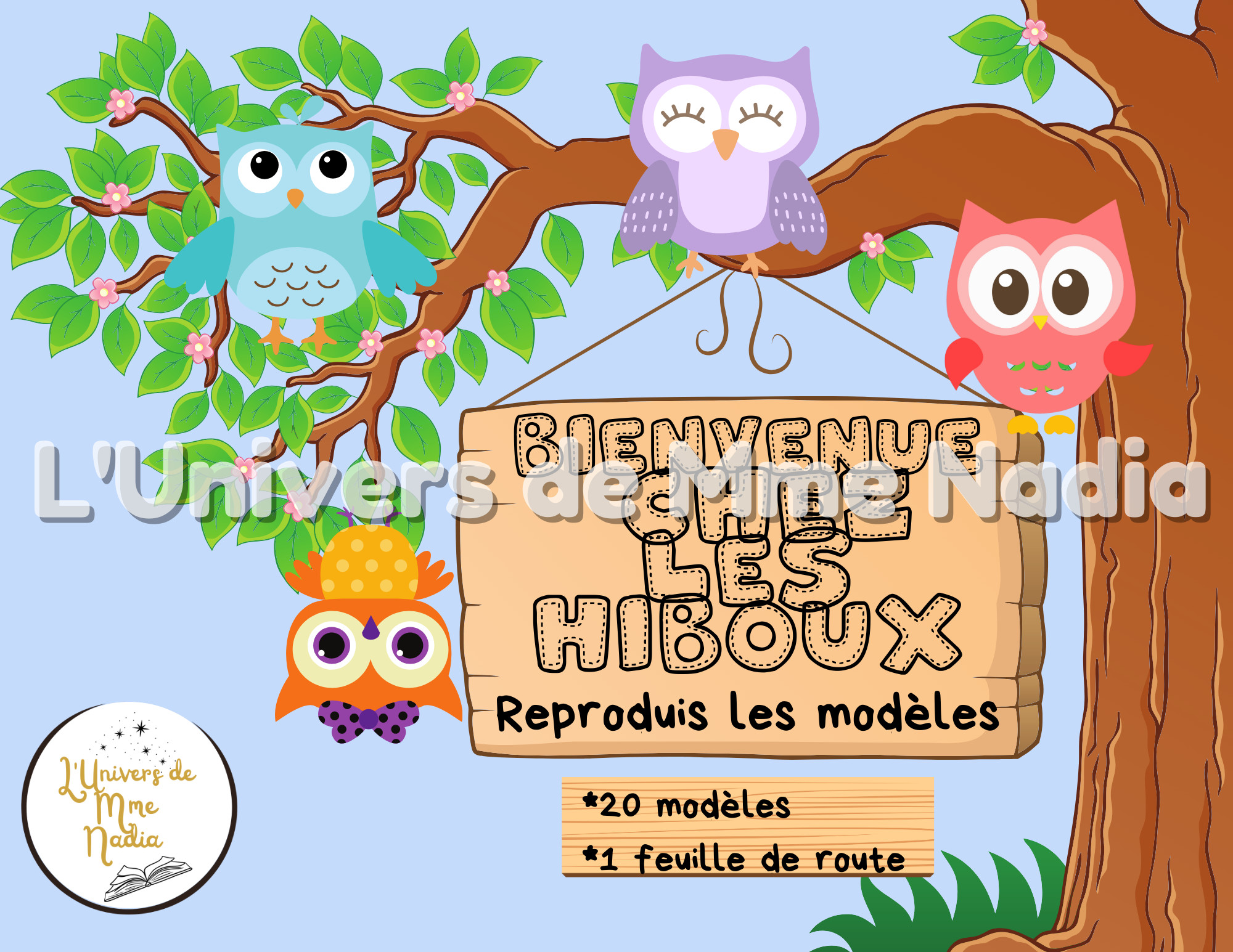 Bienvenue chez les hiboux