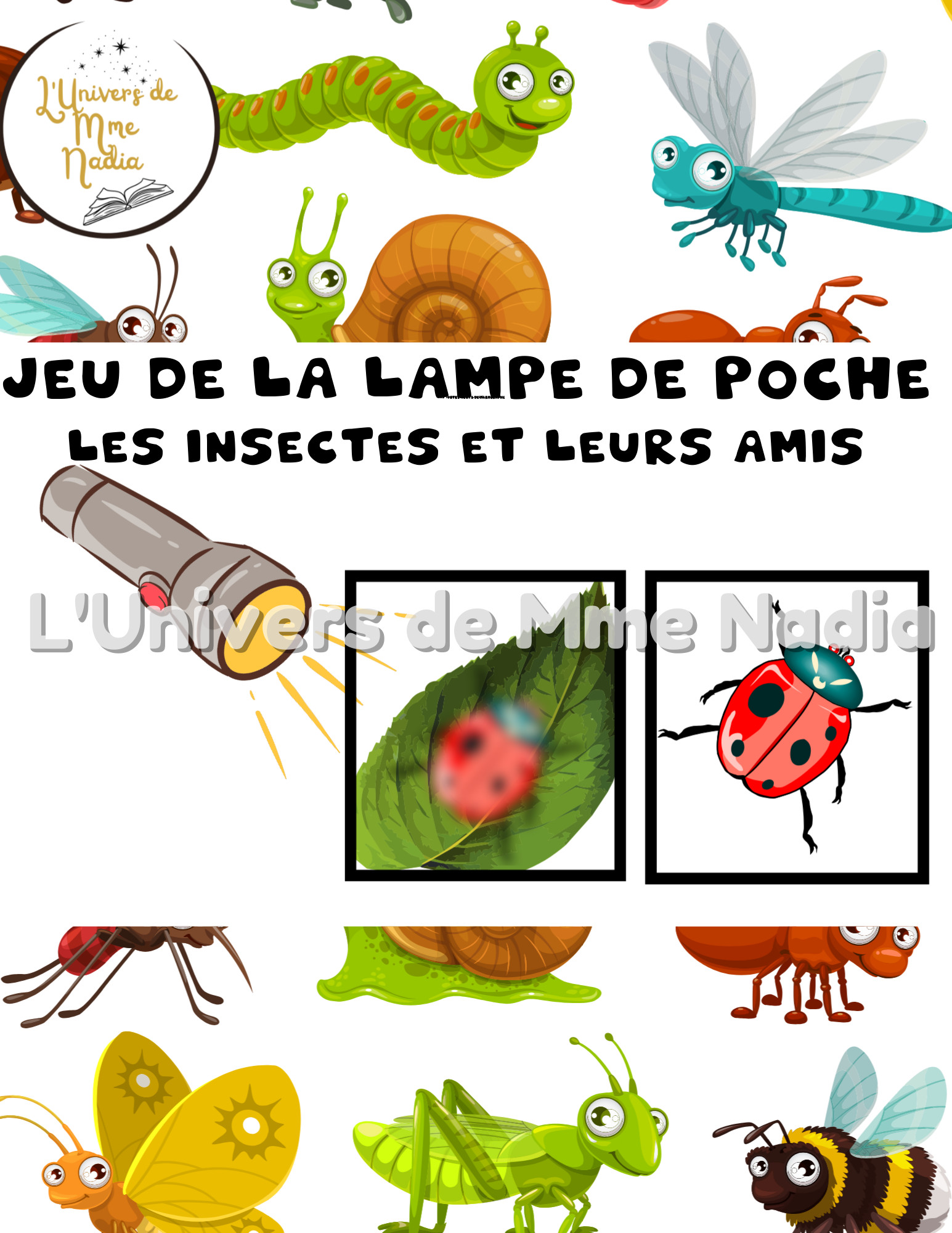  Jeu de la lampe de poche - Les insectes et leurs amis