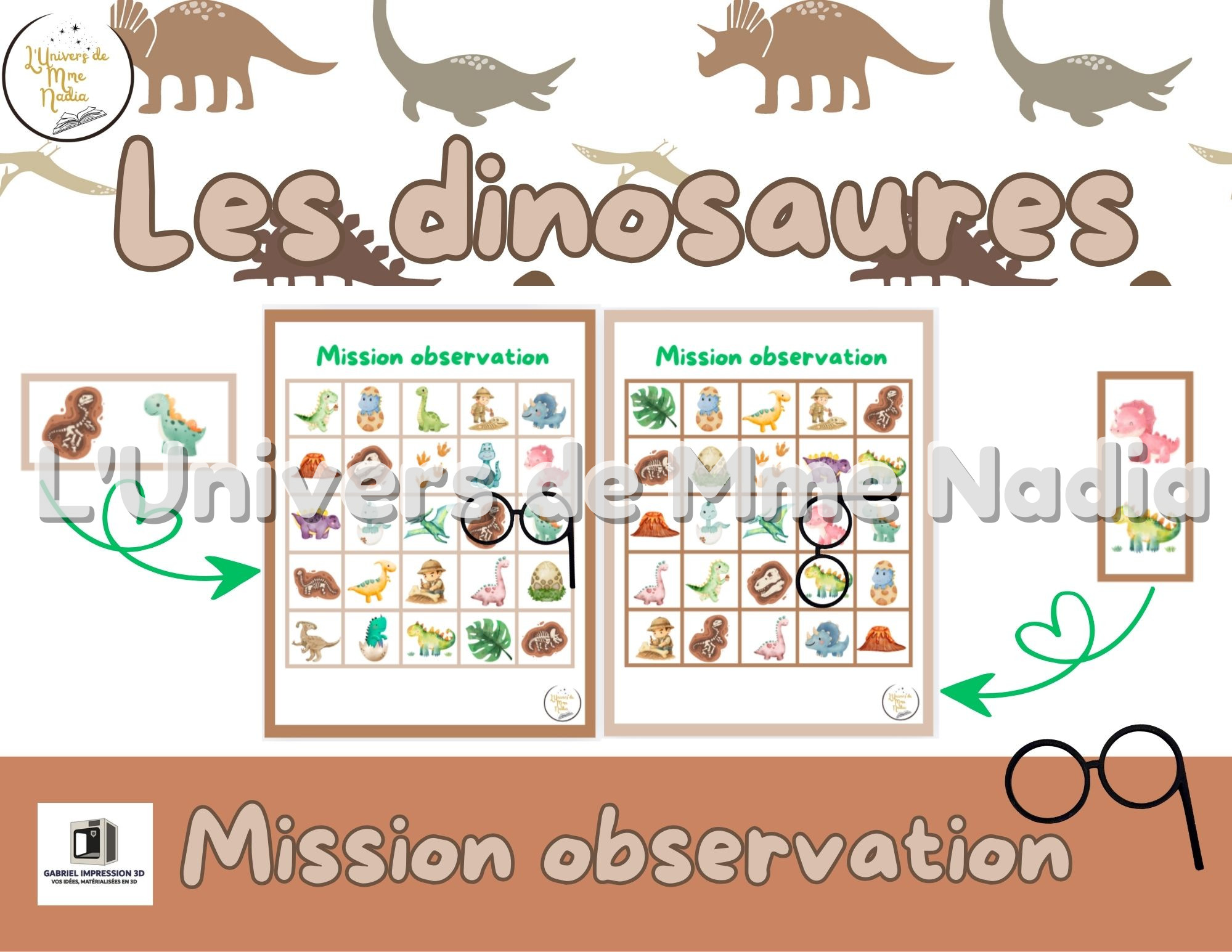 Mission Observation -Les dinosaures