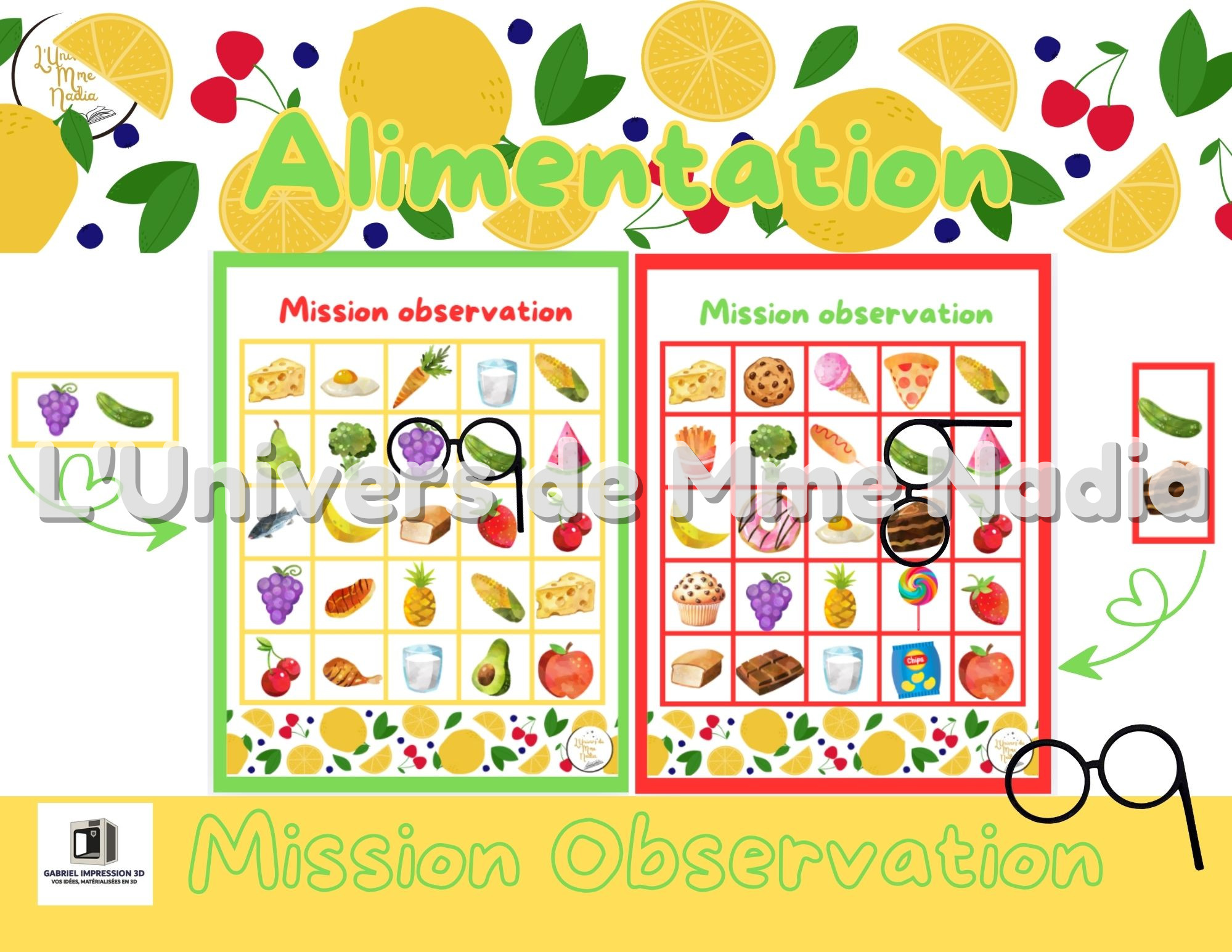 Mission Observation -Alimentation
